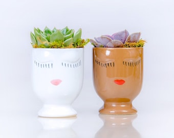 Face Planter In 3 Inch With Live Succulent