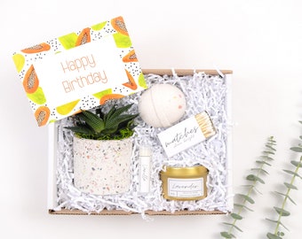 Birthday Gift| Happy Birthday Gift Box| Custom Gift Box| Gift Box| Succulent Gift Box| Succulents| Birthday Gift| Birthday Gift Box| Gift