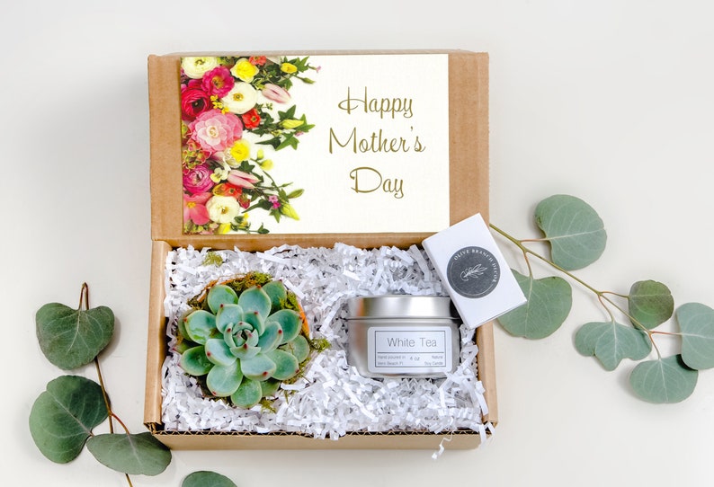 Mother's Day Gift Ideas Gift For Mom Mothers Gift Set  - succulent with a candy in a lovely display box