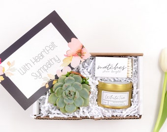 Sorry for your loss | Loss Gift | Gift for grieving |Succulent Gift| Gift Box| Gift idea for hurting