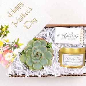 Mothers Day Gift Box Succulent Gift box set Send a Gift Customize Gift Gift Box For HerFirst Time Mom Step Mom Gift Happy Mothers image 1