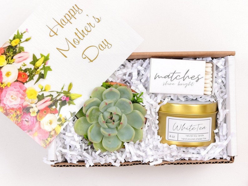 Mothers Day Gift Box Succulent Gift box set | Send a Gift | Customize Gift| Gift Box For Her|First Time Mom| Step Mom Gift| Happy Mothers 