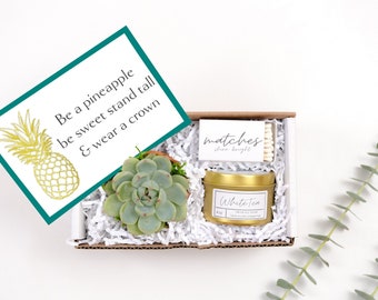 Be A Pineapple Gift Box | Gift For Her | Just Because Gift| Happy Birthday Gift| Gift| Succulent| Soy Candle| Terra Cotta Pot|