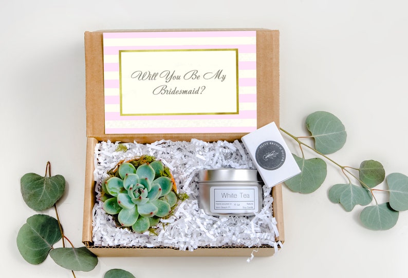 Bridesmaid Mini Gift Box a succulent in clay pot and a image 0