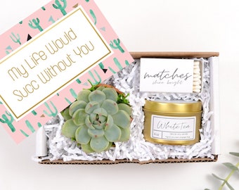 Happy Birthday Gift Box| Happy Birthday Gift| Custom Gift Box| Gift Box| Succulent Gift Box| Succulents| Birthday Gift| Birthday Gift Box