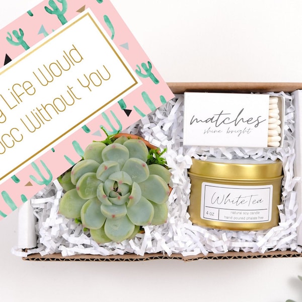 Happy Birthday Gift Box| Happy Birthday Gift| Custom Gift Box| Gift Box| Succulent Gift Box| Succulents| Birthday Gift| Birthday Gift Box