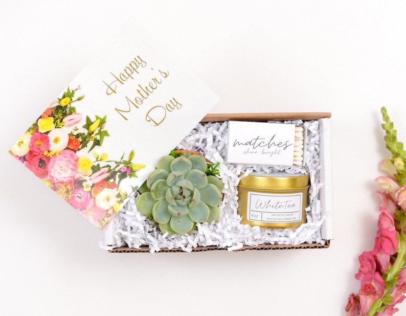 Mothers Day Gift Box Succulent Gift box set  Send a Gift  image 0