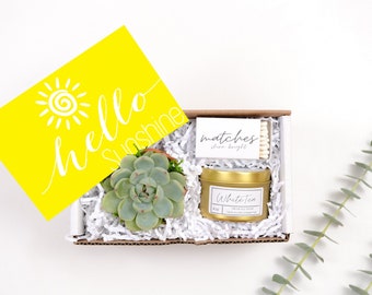 Hello Sunshine Mini Gift Box- a succulent in terra cotta pot and a 100% natural scented soy candle!