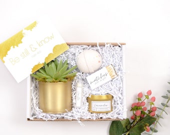 Gift Box - a live succulent in a Gold Metal planter, a natural scented soy candle & a bath bomb