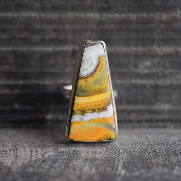 Bumblebee Jasper w/Turquoise Ring main image 0