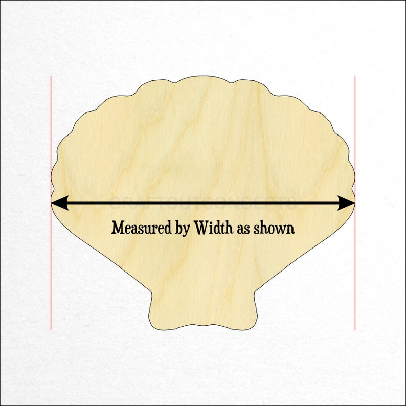 Sea Shell Clam Shape Large & Small Pick Size Laser Cut Etsy