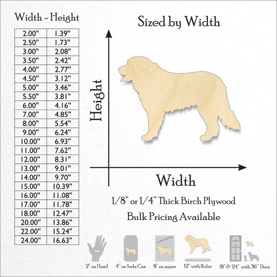 Bernese Mountain Dog Size Chart