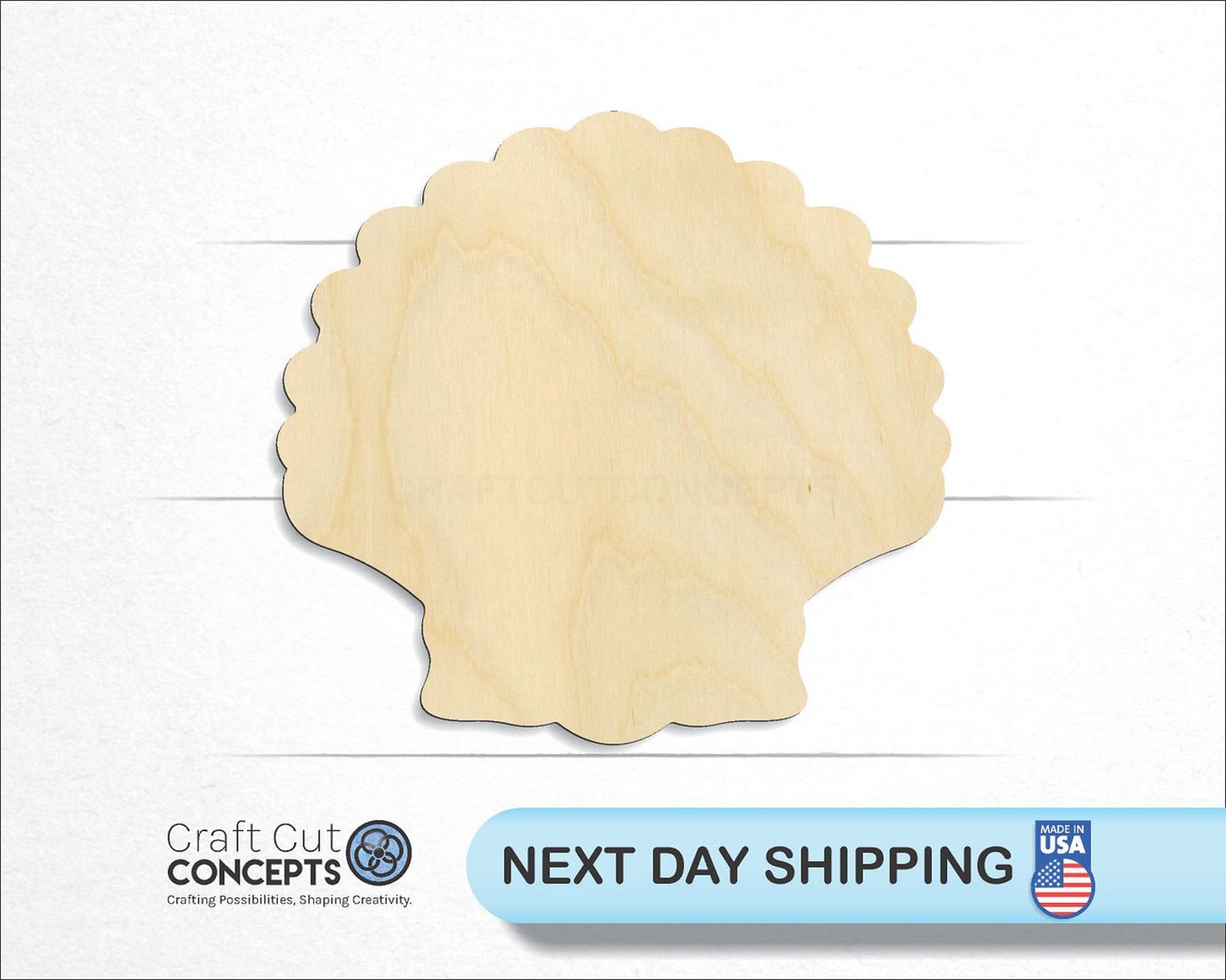 Sea Shell Clam - Laser Cut Unfinished Wood Cutout Craft Shapes - Etsy