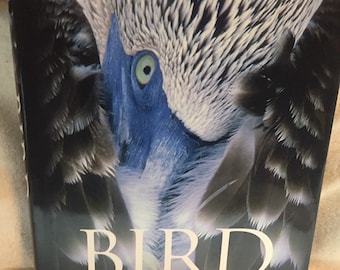 BIRD The Definitive Visual Guide