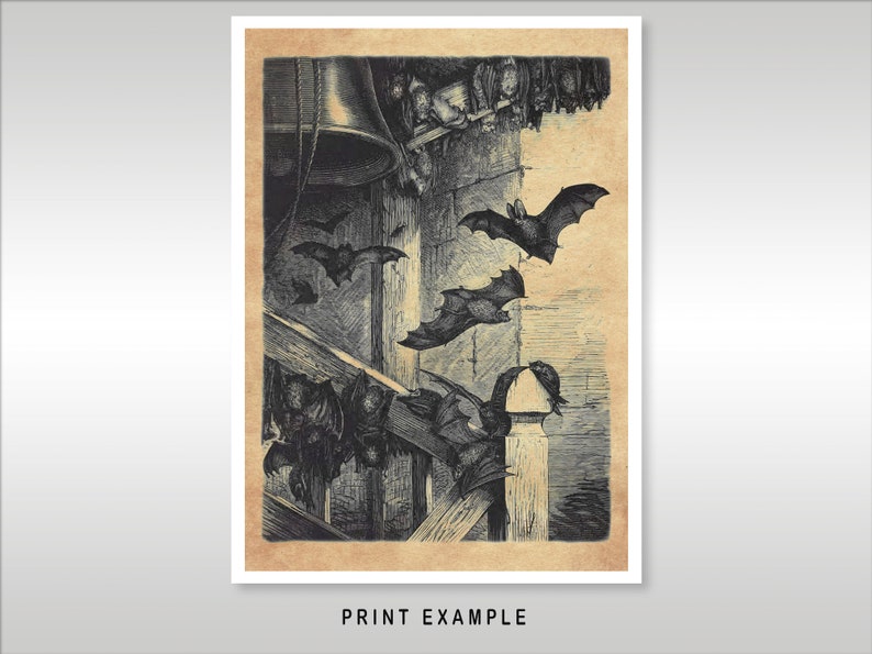 Murciélagos en el campanario Grabado vintage Gótico Impresión de arte de reproducción Envío gratuito a clientes del Reino Unido imagen 2