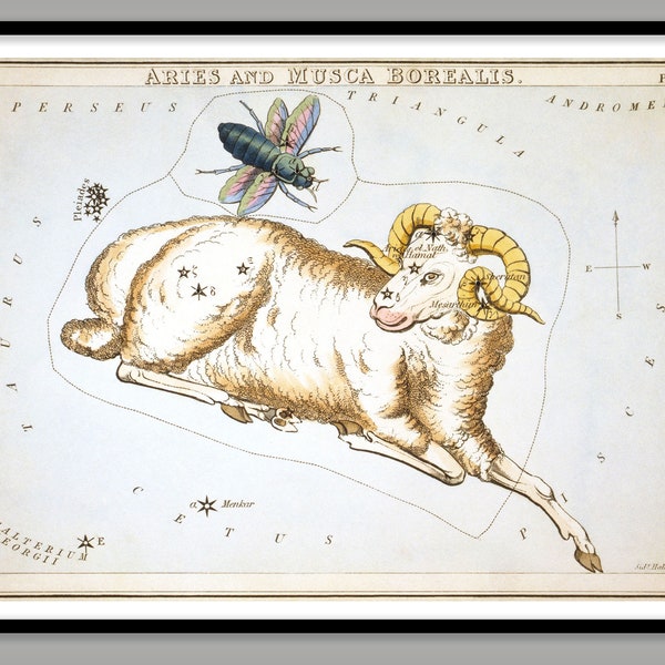 Aries and Musca Borealis 1825 ~ Sidney Hall ~ Celestial Atlas ~ Horoscope ~ Reproduction Print ~  FREE Shipping to UK Customers.