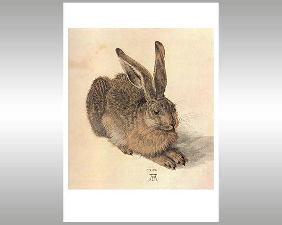「野うさぎ」　アルブレヒト・デューラー　2011年　英領バージン諸島 野うさぎ」 アルブレヒト・デューラー 2011年 英領バージン諸島