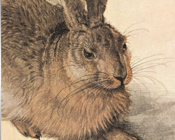 アルブレヒト・デューラー作「若い野ウサギ」1502年～複製版画
