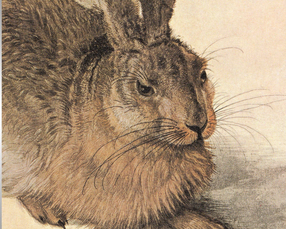 アルブレヒト・デューラー 水彩画 「うさぎ」 複製画 アルブレヒト・デューラー作「若い野ウサギ」1502年~複製版画