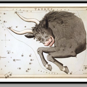 Tauro 1825 ~ Sidney Hall ~ Carta astrológica ~ Atlas celestial ~ Impresión de reproducción ~ Constelaciones ~ Estrellas