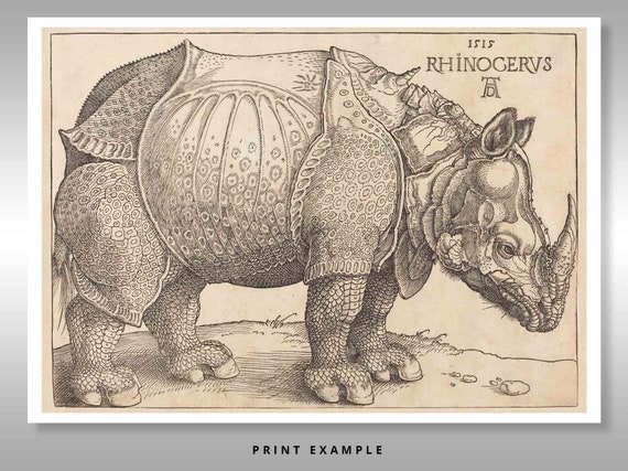 デューラーの犀 1515年 ~ アルブレヒト・デューラー ~ 複製版画 - Etsy