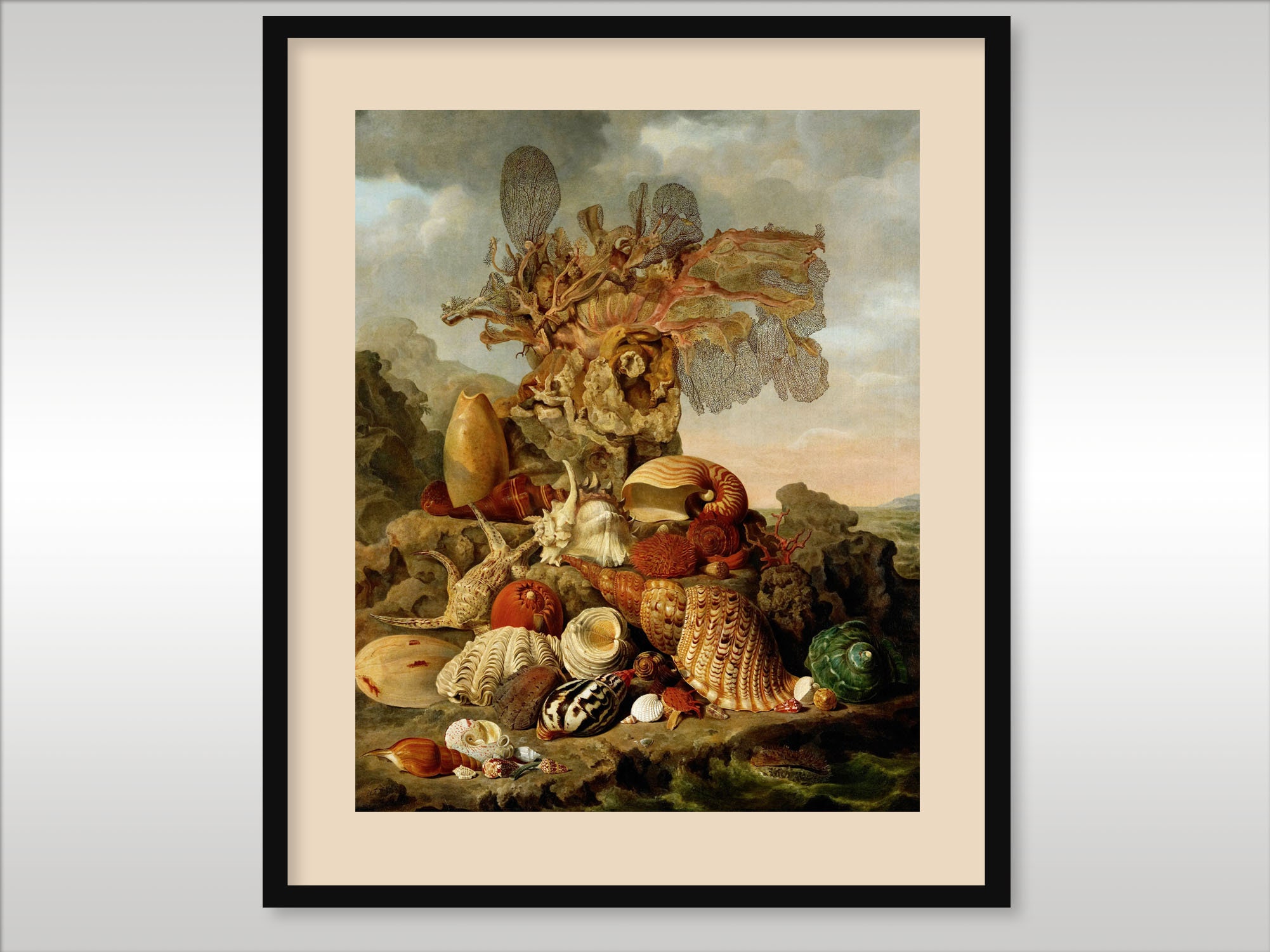 Shells and Marine Plants 1809 ~ Henricus Franciscus Wiertz ~ Reproduction Art Print ~ Landscape ~ Sea Creatures ~ Wall Art