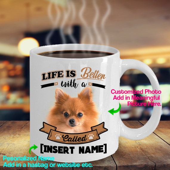 pomeranian in a cup