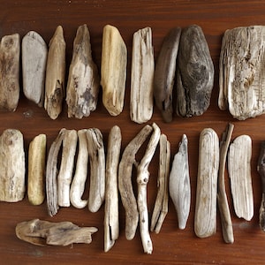 May include: A collection of driftwood pieces in various shapes, sizes, and colors. The driftwood is arranged in two rows on a wooden surface. Some pieces are smooth and polished, while others are rough and weathered.