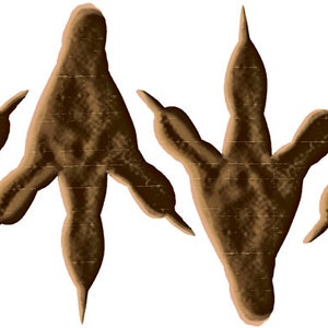 Bodenaufkleber: Dinospuren 4 teilig, Fußbodensticker Dinofußspuren kleben auf Fußböden und Wänden, Kinderzimmerdeko Bild 2