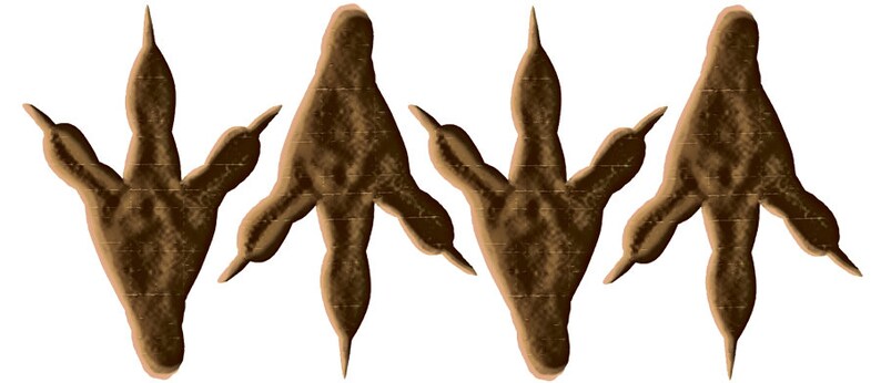Bodenaufkleber: Dinospuren 4 teilig, Fußbodensticker Dinofußspuren kleben auf Fußböden und Wänden, Kinderzimmerdeko Bild 2