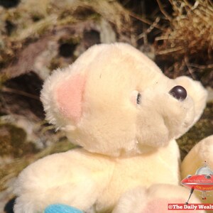 Simply Gifted Teddy Bear with Flower Vintage image 2