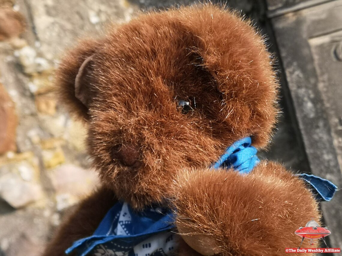 Protector Teddy Bear Blue Mask Scarf Fully Jointed Vintage Etsy
