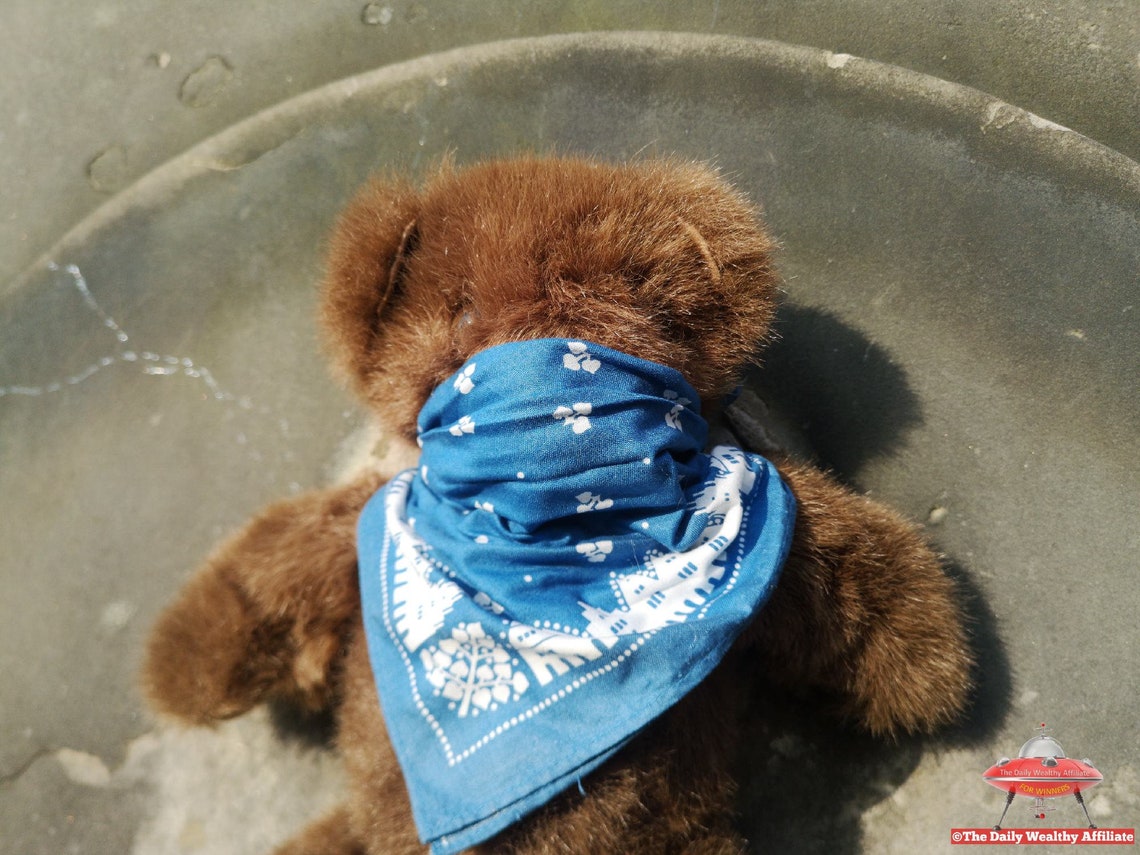 Protector Teddy Bear Blue Mask Scarf Fully Jointed Vintage Etsy