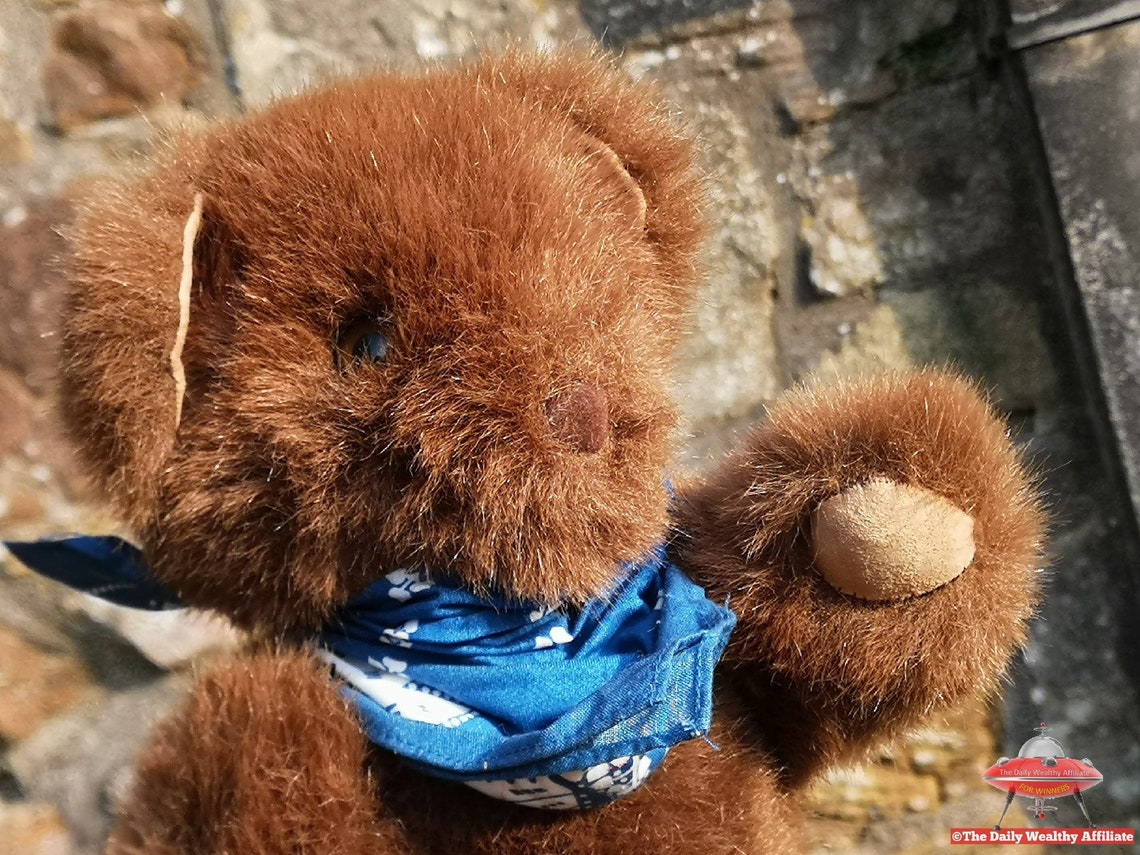 Protector Teddy Bear Blue Mask Scarf Fully Jointed Vintage Etsy UK