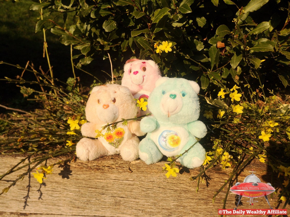 3 x Kenner Care Bear Friend Sunflower Bedtime Moon Rainbow Etsy