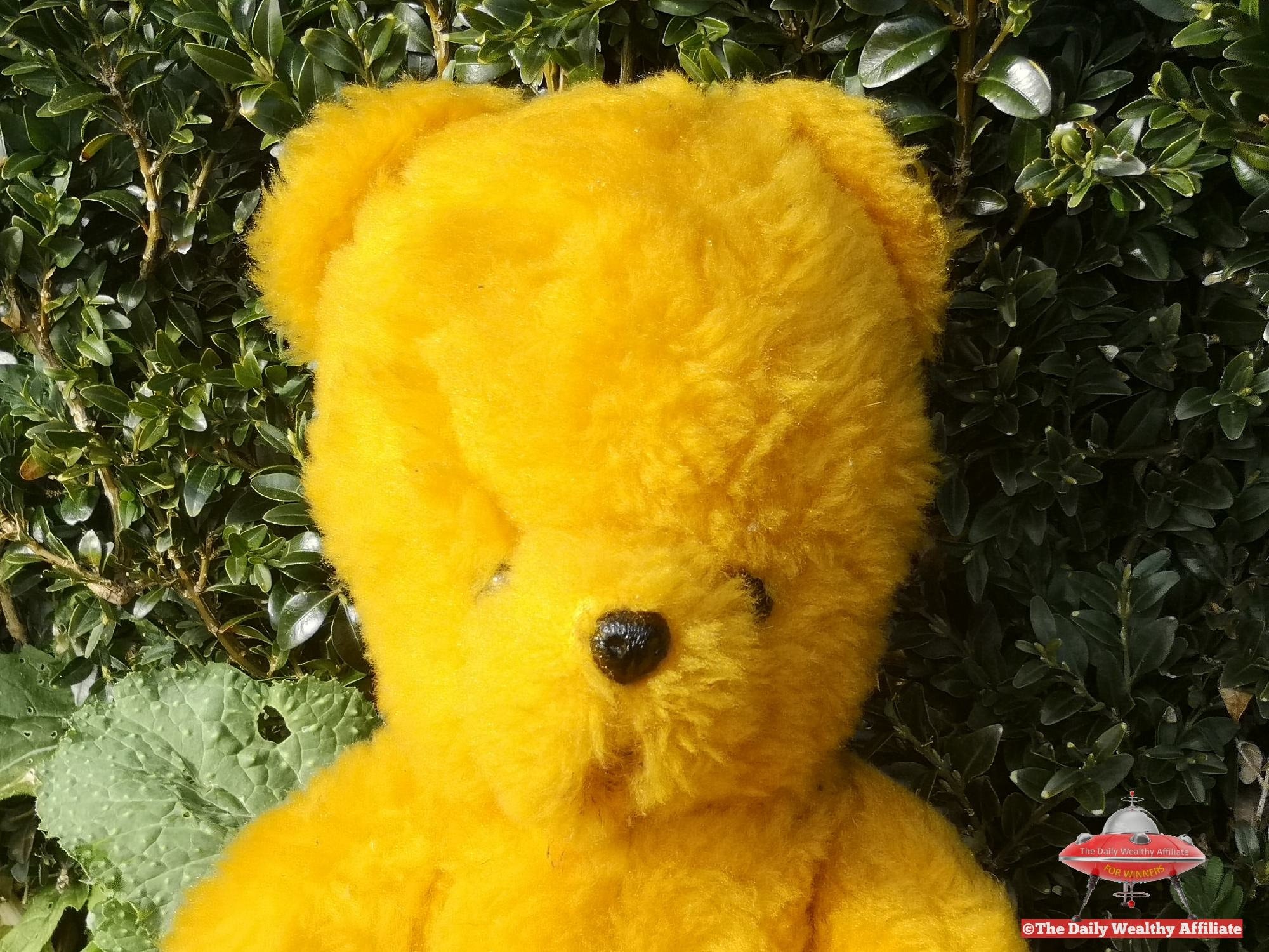 Yellow teddy bears deals