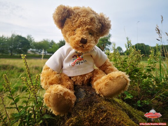 Teddy bear with white shirt online