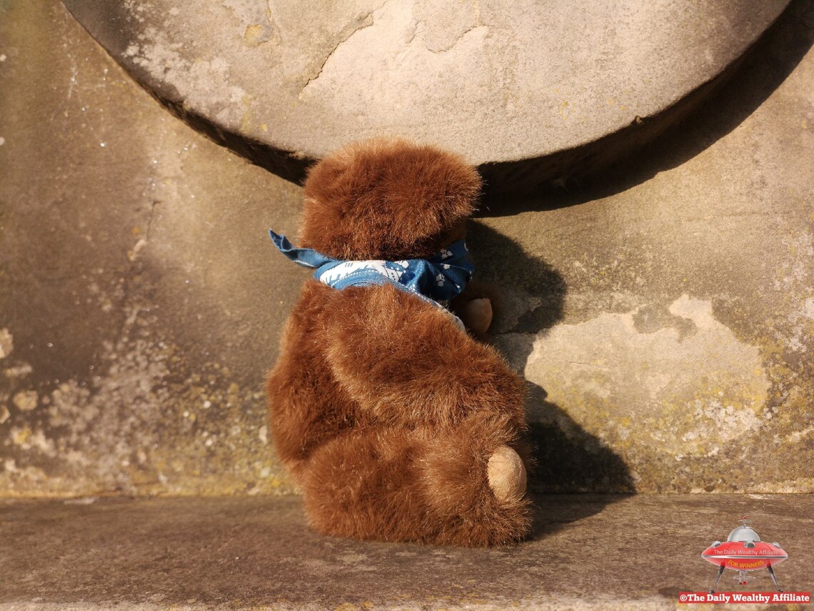 Protector Teddy Bear Blue Mask Scarf Fully Jointed Vintage Etsy