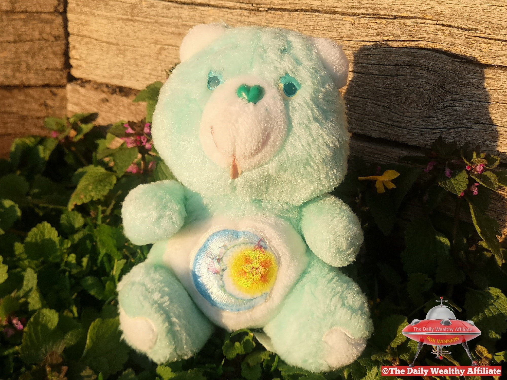 3 x Kenner Care Bear Friend Sunflower Bedtime Moon Rainbow Etsy