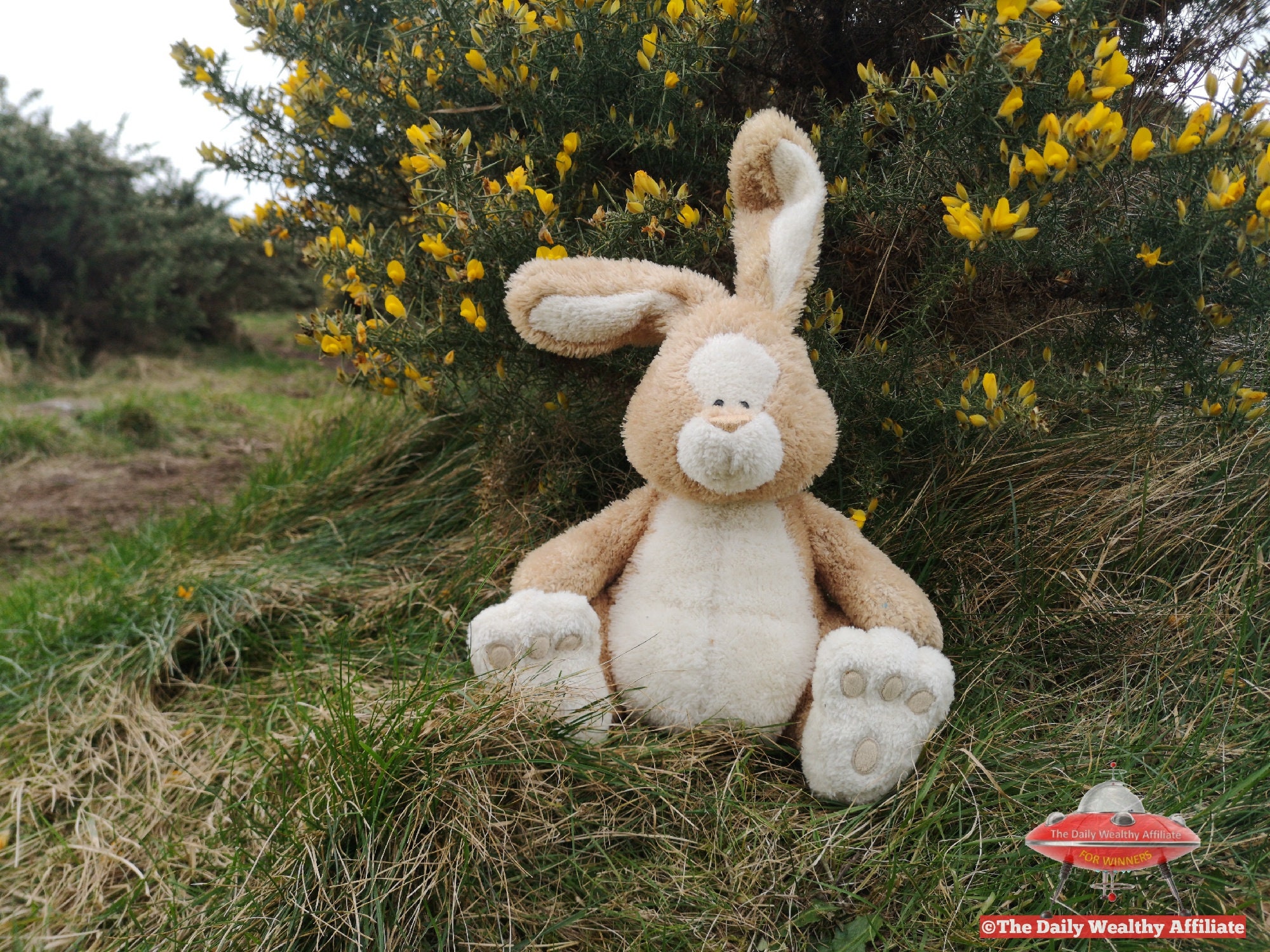 GUND Just A Bunny 36303 Rabbit Plush Vintage RARE | Etsy