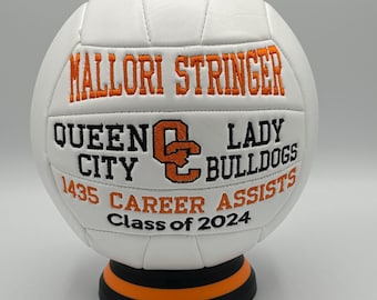 Balones de voleibol bordados personalizados