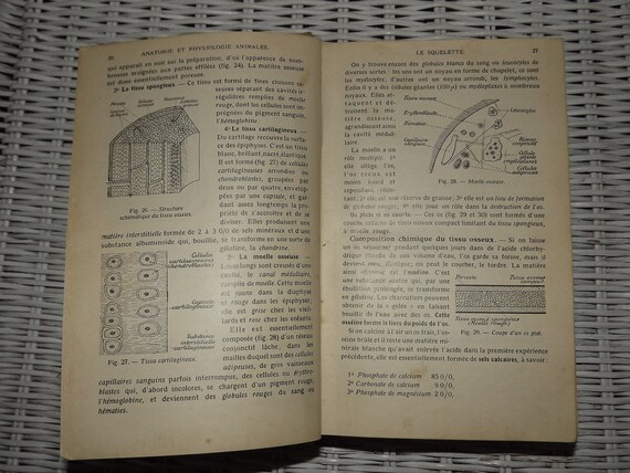 French Book Anatomie Et Physiologie Animales Et Vegetales 1932 Anatomical And Plants Illustrations And Drawings Book Curiosity Book - 