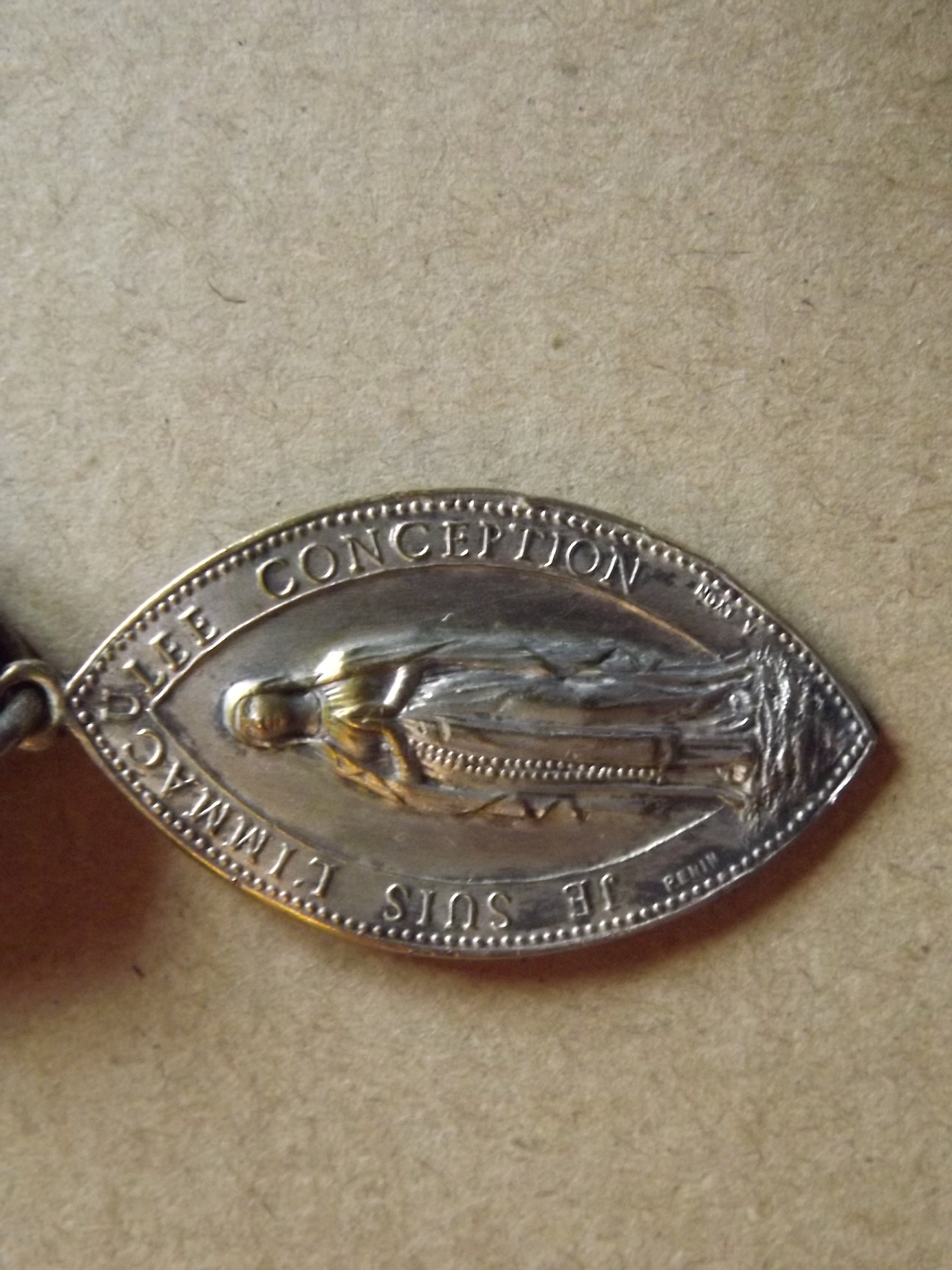 Médaille Pèlerinage Comité De Limoges à Lourdes - Métal - France - Occasion