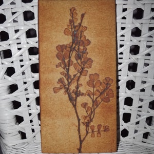 Könnte beinhalten: Eine braune rechteckige Fliese mit einem gepressten getrockneten Pflanzenmotiv. Die Pflanze ist hellbraun und hat eine zarte, verzweigte Struktur.