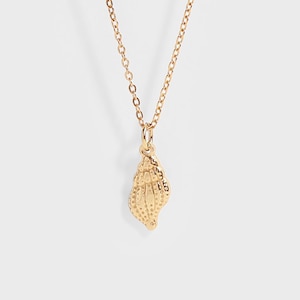 Conch Seashell Necklace, 100% Waterproof, Non-Tarnish, Hypoallergenic Jewelry, Ocean Necklace, Made in Destin, Florida