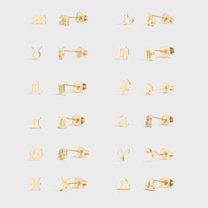 Kolczyki ze znakiem zodiaku, minimalistyczna biżuteria ze znakiem zodiaku, 18-karatowe złoto PVD, stal nierdzewna, urodziny ze znakiem zodiaku, kolczyki z horoskopem, prezent urodzinowy