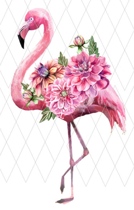 not svg Watercolor Flocking Fabulous Flamingo Flowers JPG PNG cameo clipart cricut instant download silhouette sublimation graphics