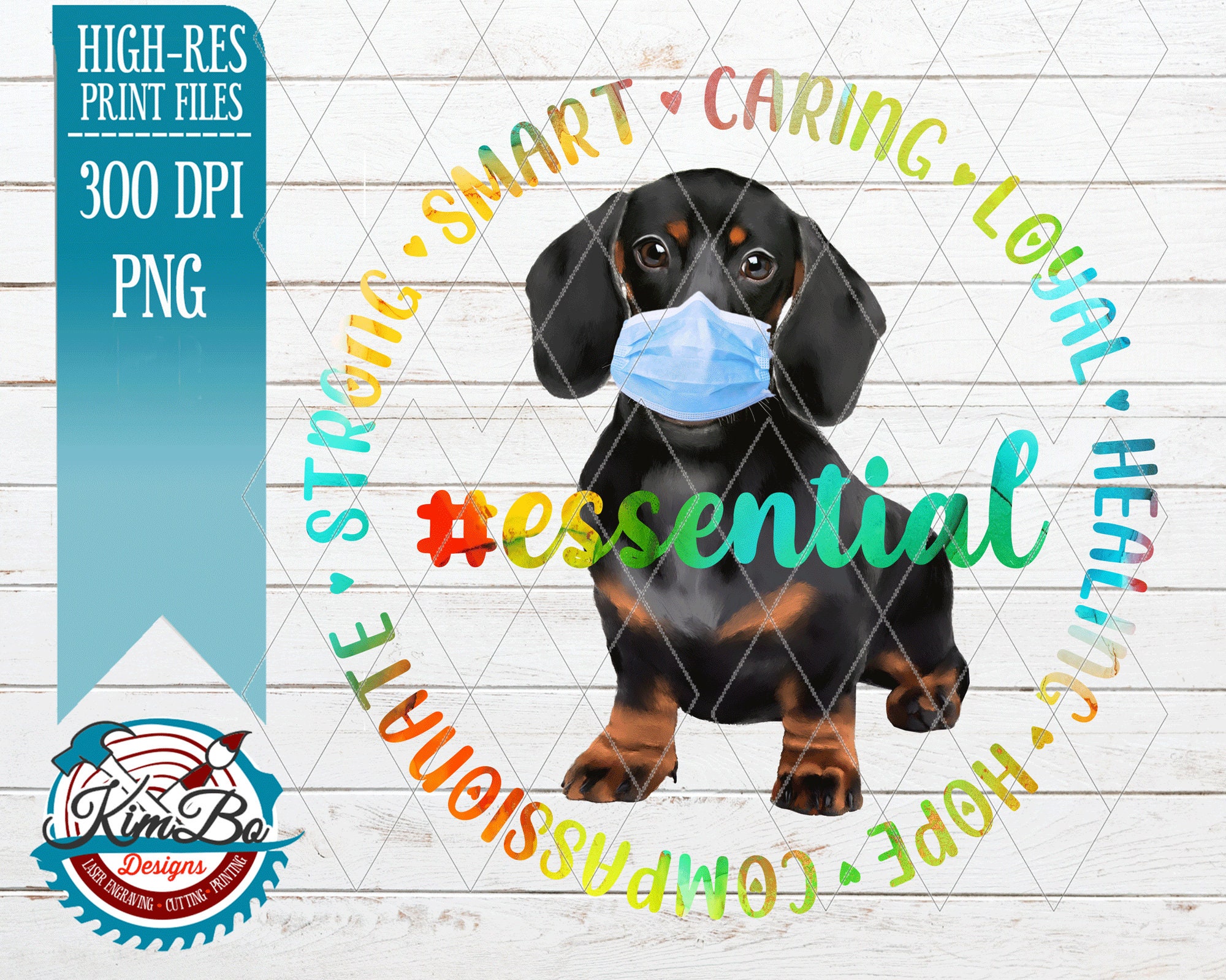 dachshund essentials