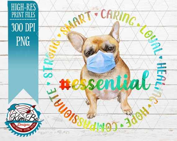 french bulldog essentials