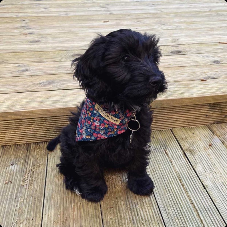 Liberty Dog Bandana Wiltshire Berry Dog Neckerchief Etsy UK